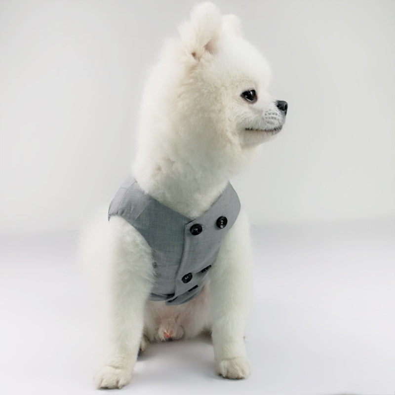 Vestito da cerimonia per cane grigio "Panama"