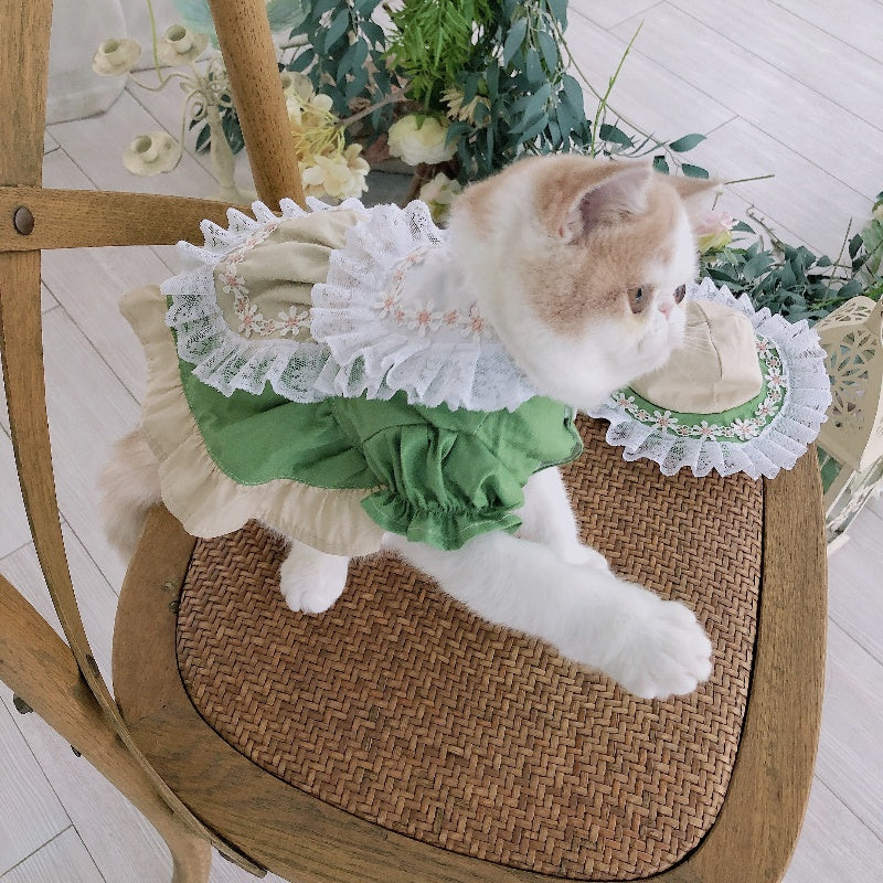 Tyrolean Cat Dress with Hat and Embroidery 🎀