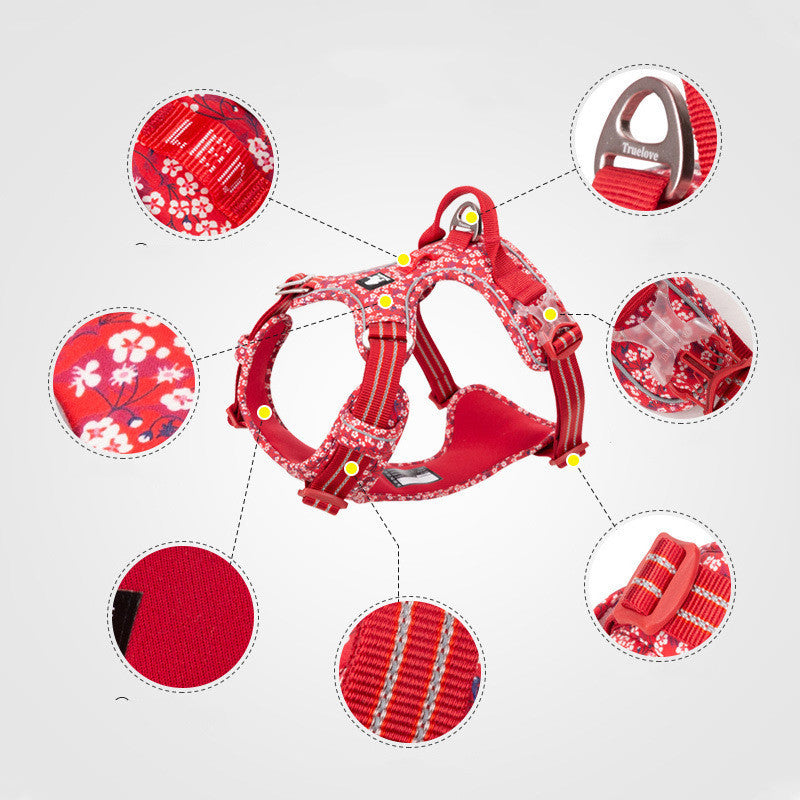 Complete set of adjustable dog leash and harness "TrueLove"