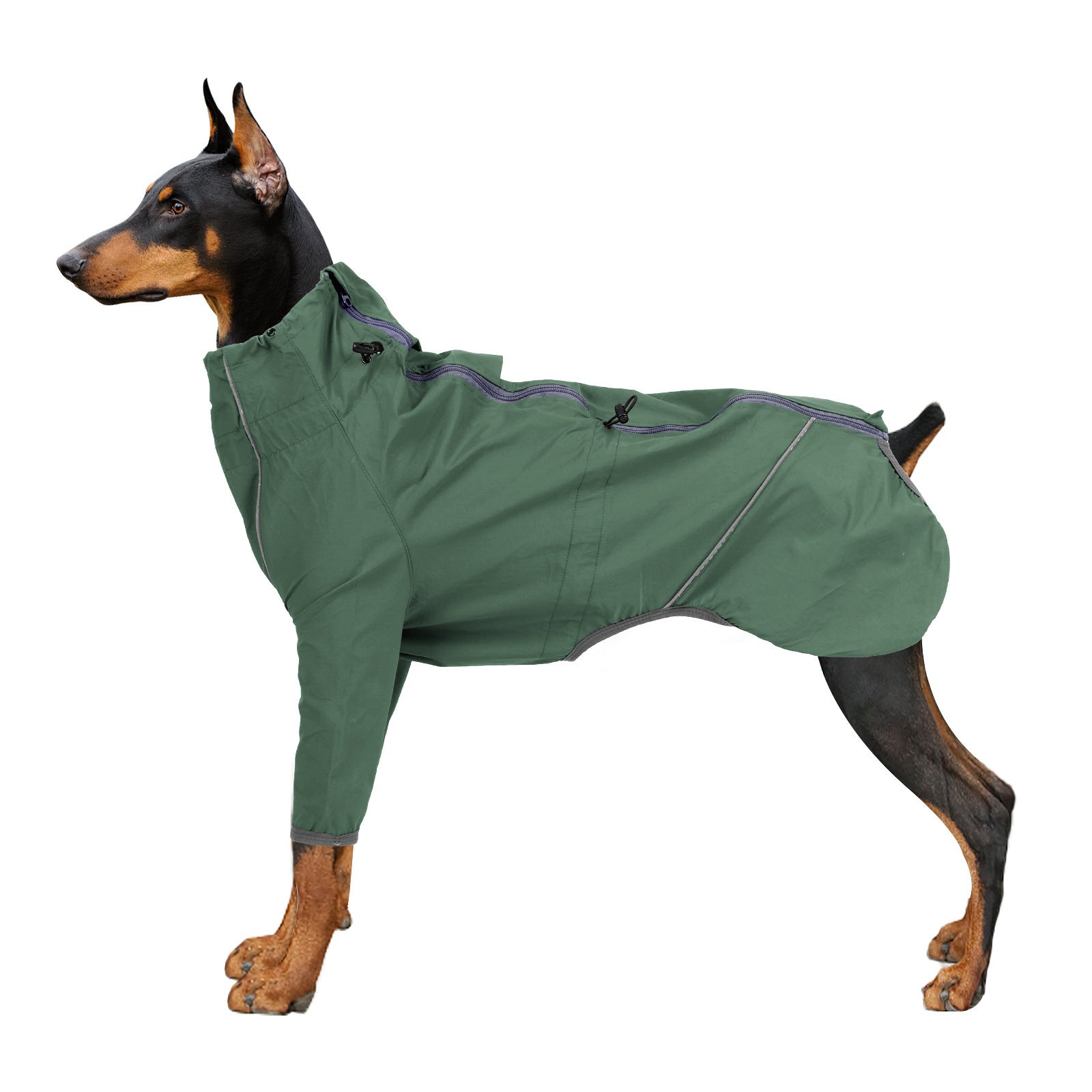 Dog Raincoat "Tewua"