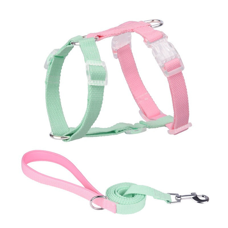 H "Color Rainbow" Leash and Harness Set