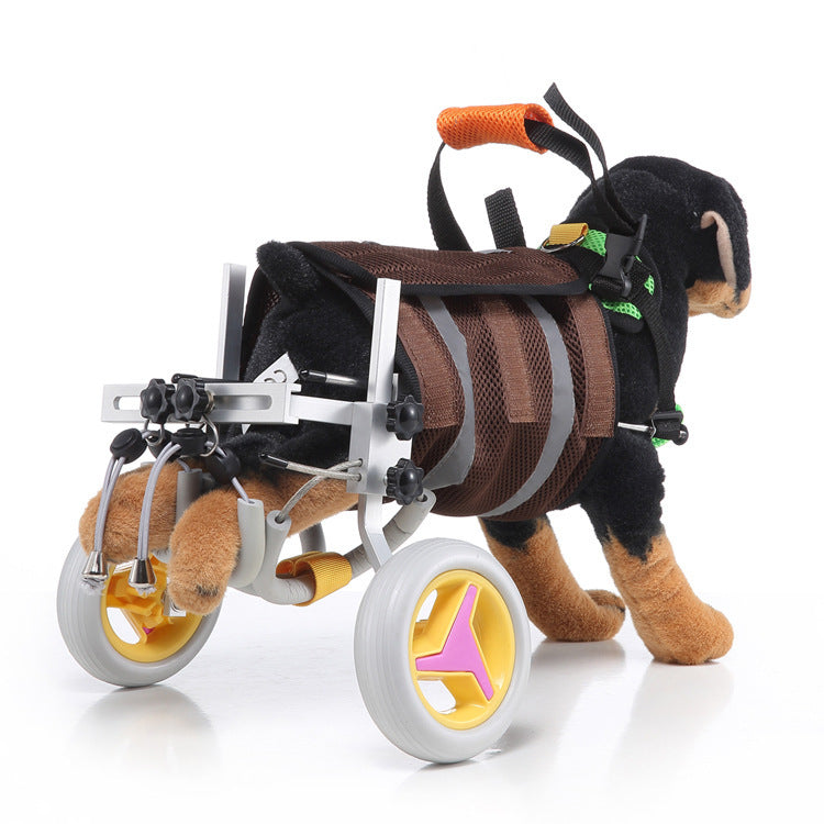 Wheelchair for Small Dogs with Weak or Paralyzed Hind Legs