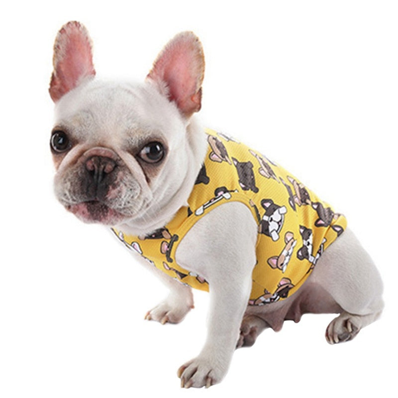 Maglietta per Bulldog e Carlino "IsDogin"