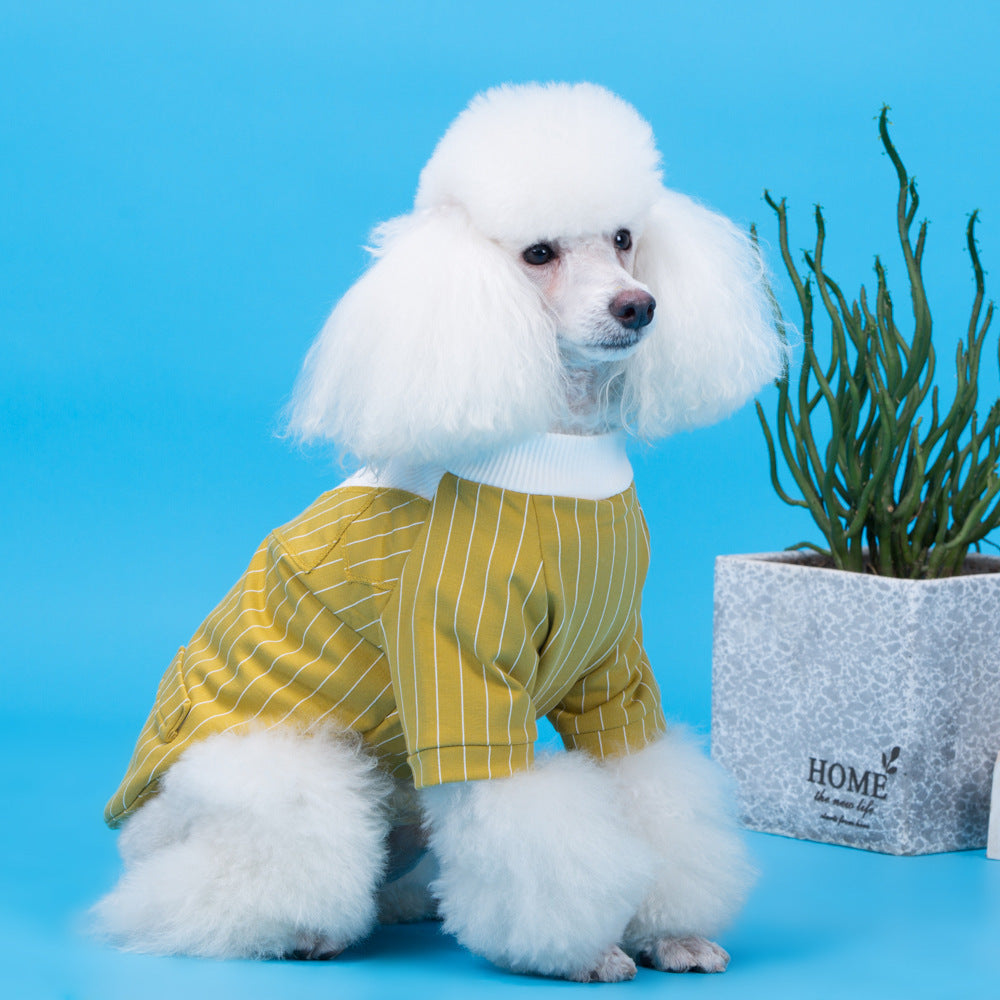 Elegant Dog Dress with Small Bow Tie