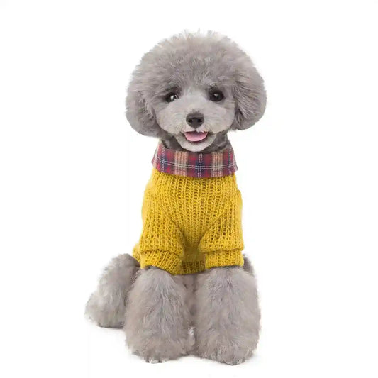 Maglioncino Cani Gatti Colletto Bottoni Elegante by Dog Moda