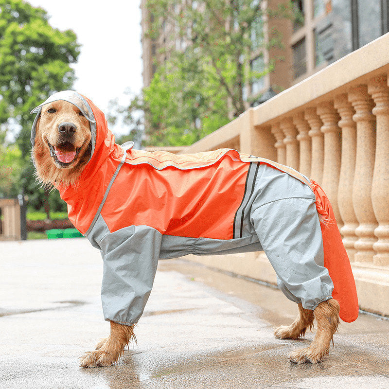 Raincoat "Philadelphia" for Large Dogs