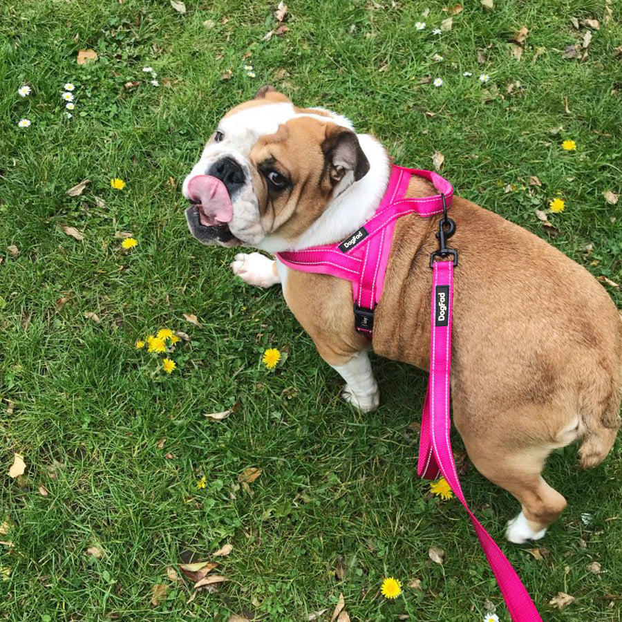 Norwegian Padded Dog Harness - DogFod