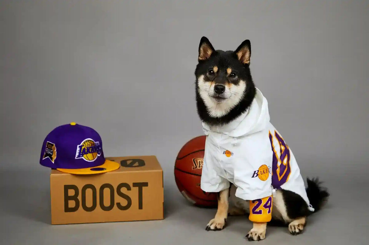 Impermeabile per Cani Lakers con Cappuccio | Giacca Cane Basket by Dog Moda