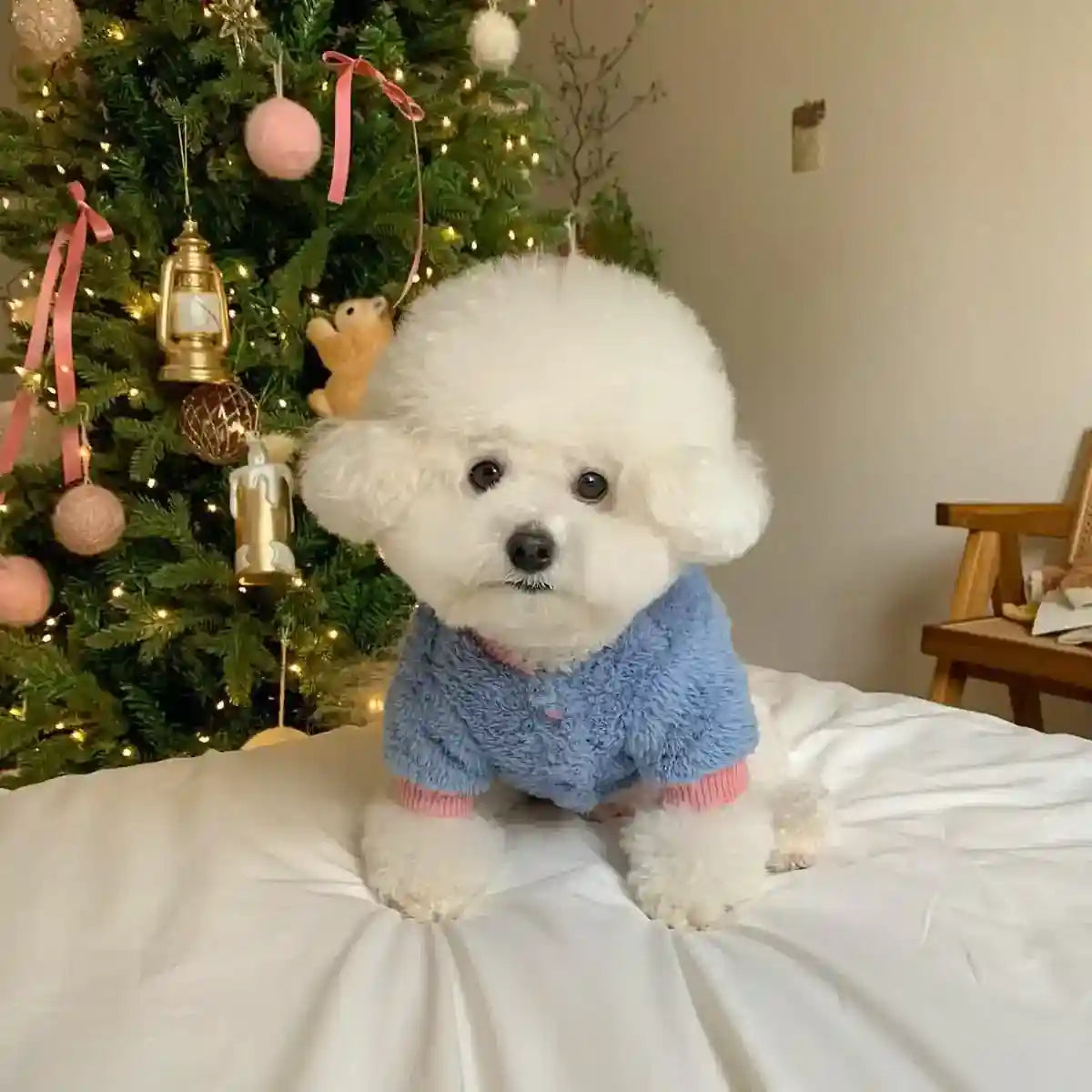 Vestito per Cani Bear in Pile Morbido | Dogmoda by Dog Moda