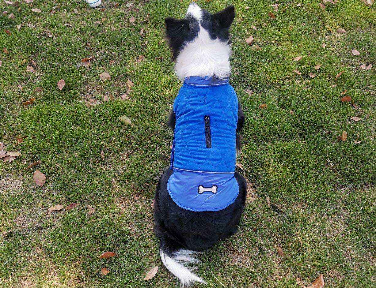 Fashion Autumn And Winter Outdoor Dog Clothes by Dog Moda