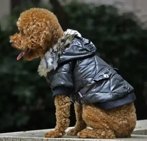 Cappotto per Cani con Cappuccio in Ecopelliccia - Eleganza e Calore per Barboncini by Dog Moda