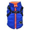 Blue and orange padded dog jacket with black adjustable harness straps and front zipper