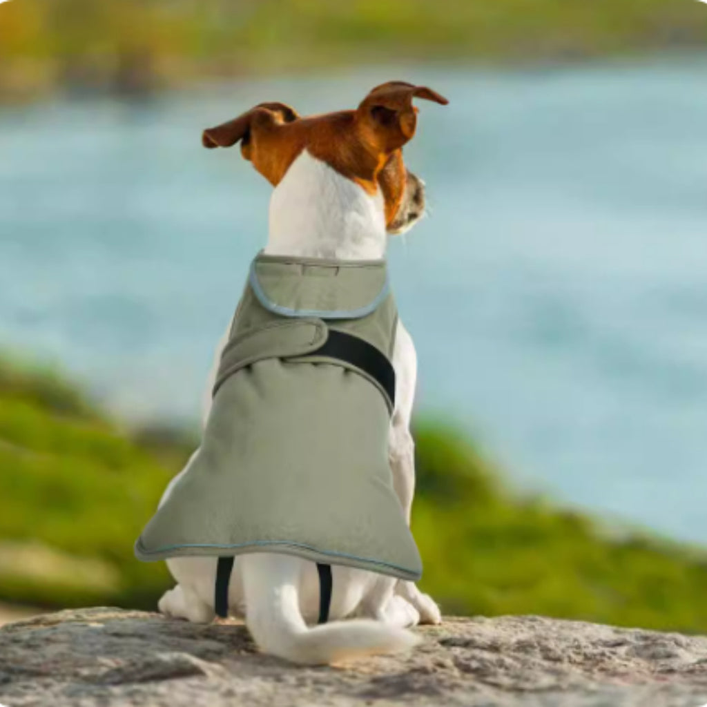 Waterproof Dog Coat with Elastic Paws and Reflective Strips