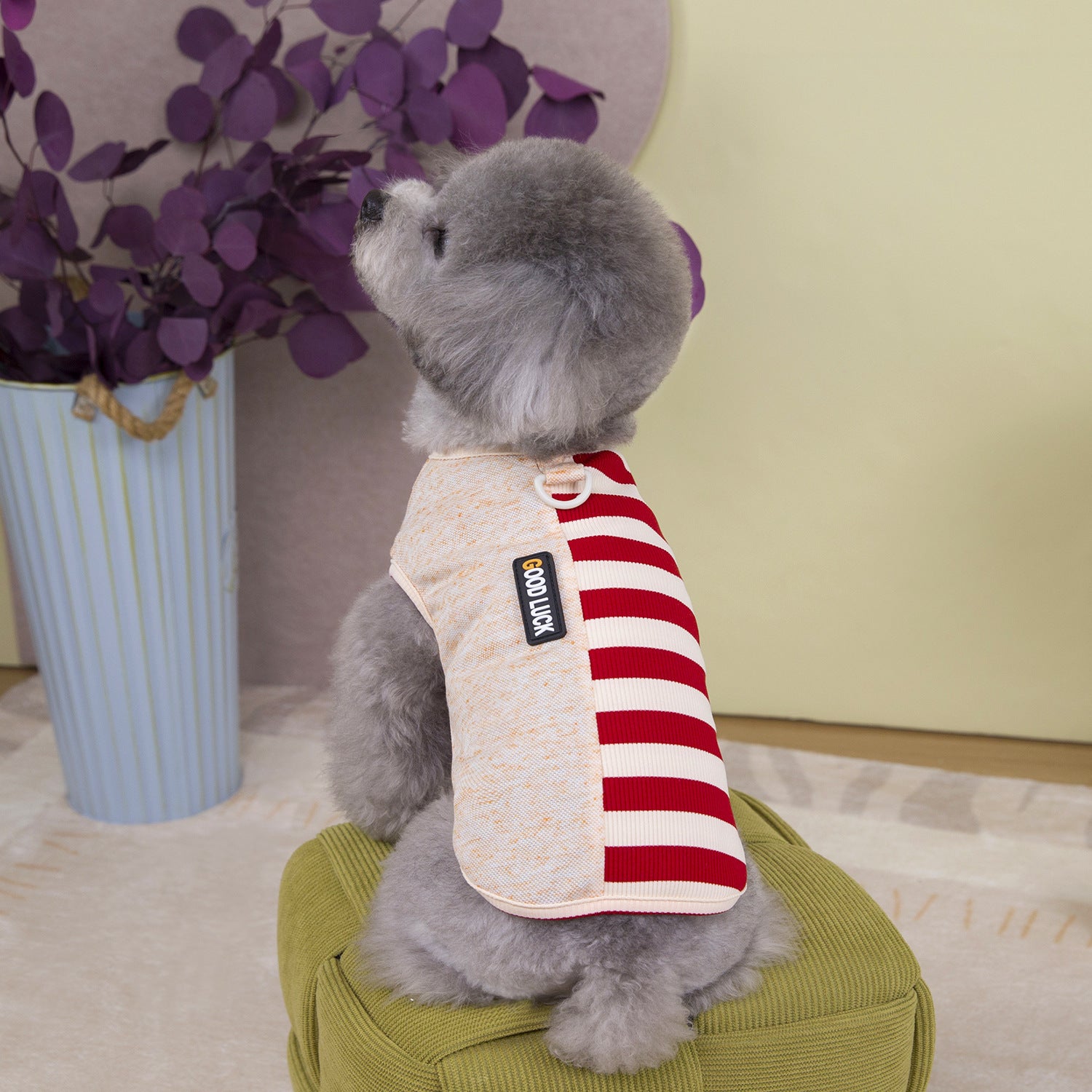 小型犬用ストライプハーネスシャツ - グッドラックファッションモデル