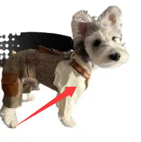 Salopette per Cani con Bretelle - Stile British Premium