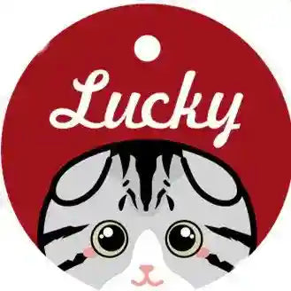 Medaglietta Gatto Personalizzata con Nome e Campanellino by Dog Moda
