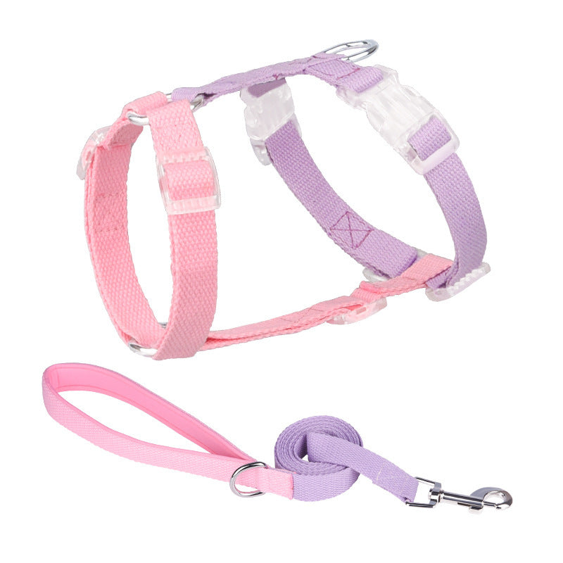 H "Color Rainbow" Leash and Harness Set