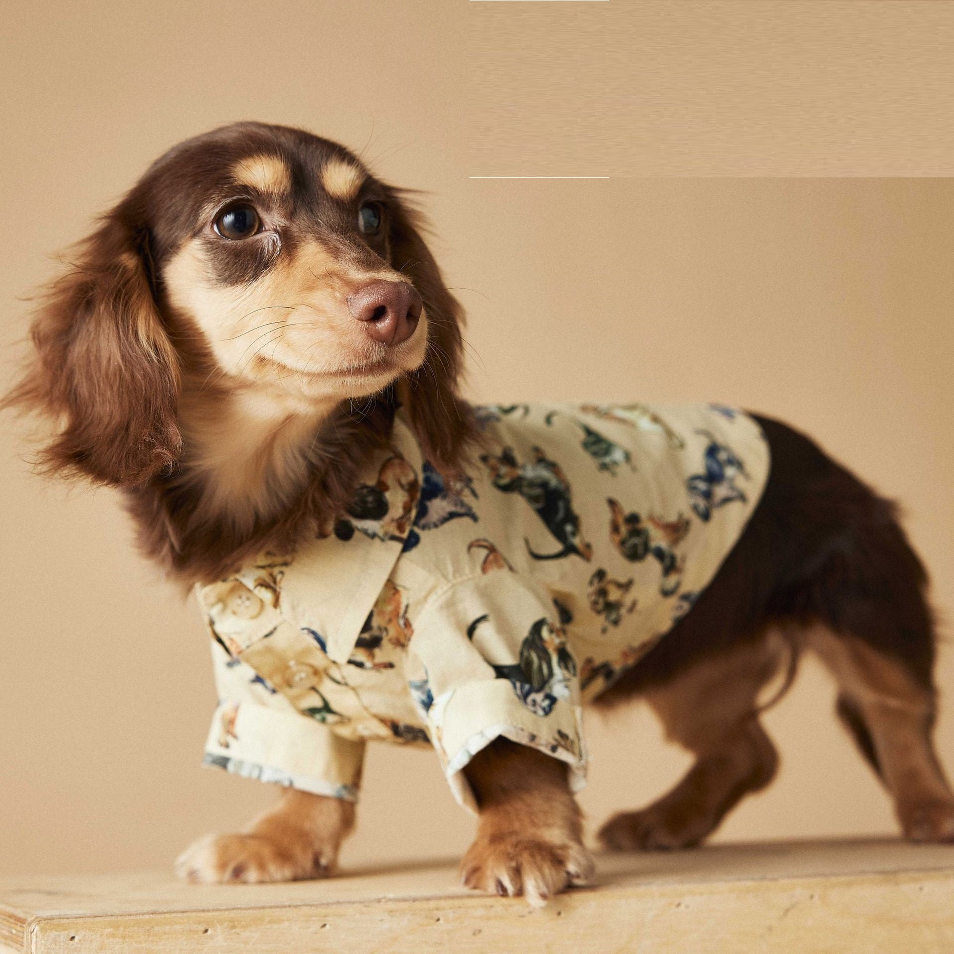 Camicetta Tawney Bear per Cani - Beige con Stampa