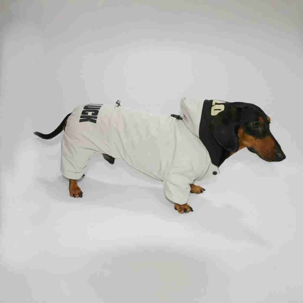 Impermeabile per Bassotto “Good Luck” – Caldo, Comodo e Stiloso by Dog Moda
