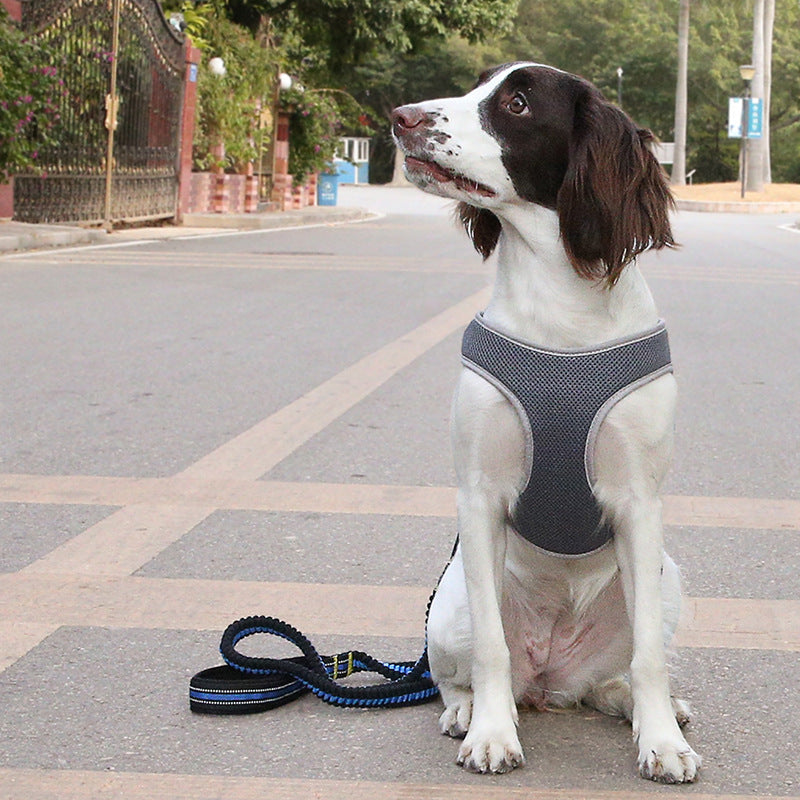Breathable "Y" Dog Harness "Stone" Model