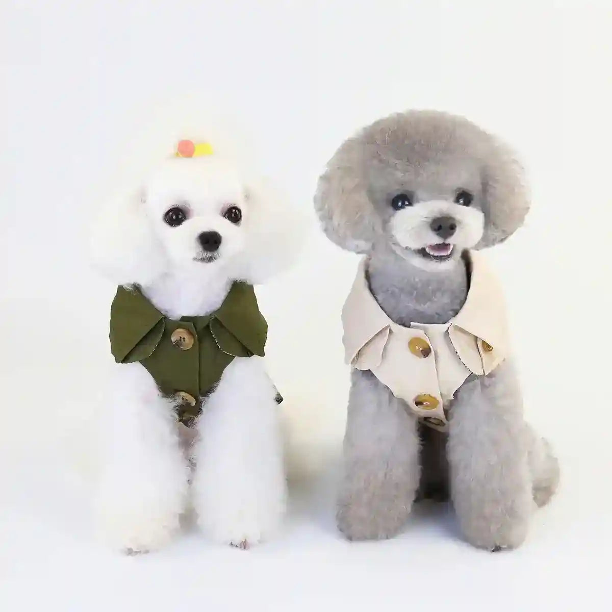 Cappotto leggero elegante per cani piccoli con bottoni e colletto by Dog Moda