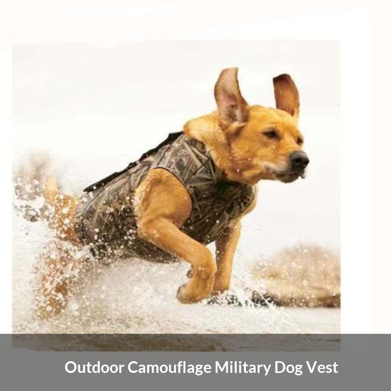 Chaleco para Perro Camuflaje Caza Outdoor Textura Hierbas