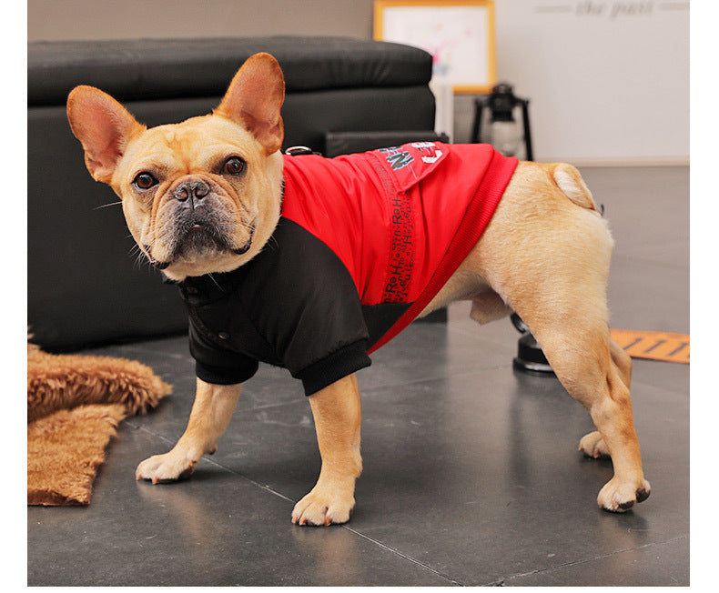 Next Level Dog Coat - Rainproof, Windproof, Fleece