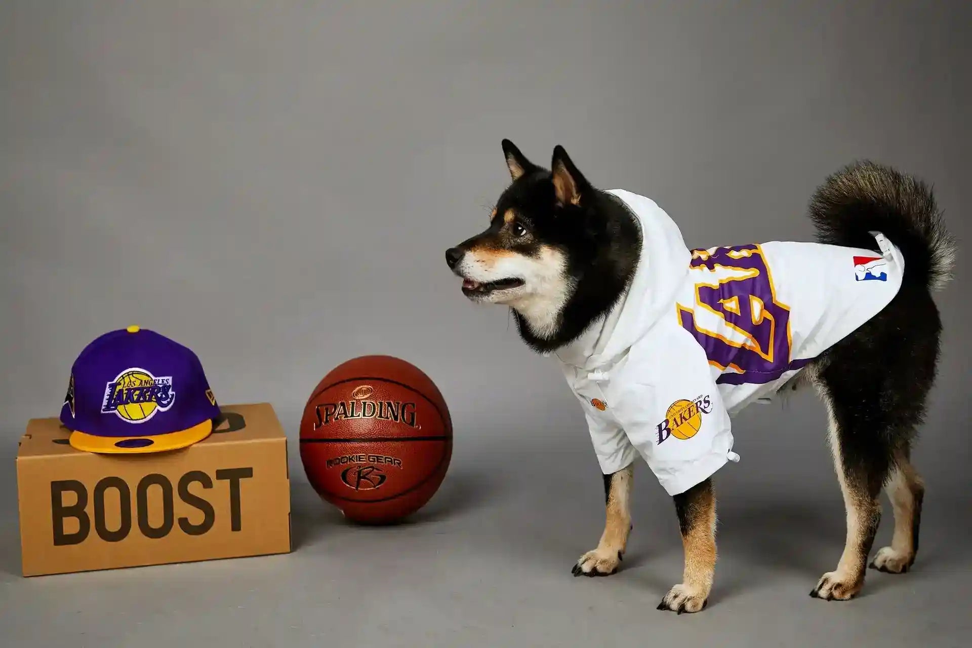 Impermeabile per Cani Lakers con Cappuccio | Giacca Cane Basket by Dog Moda