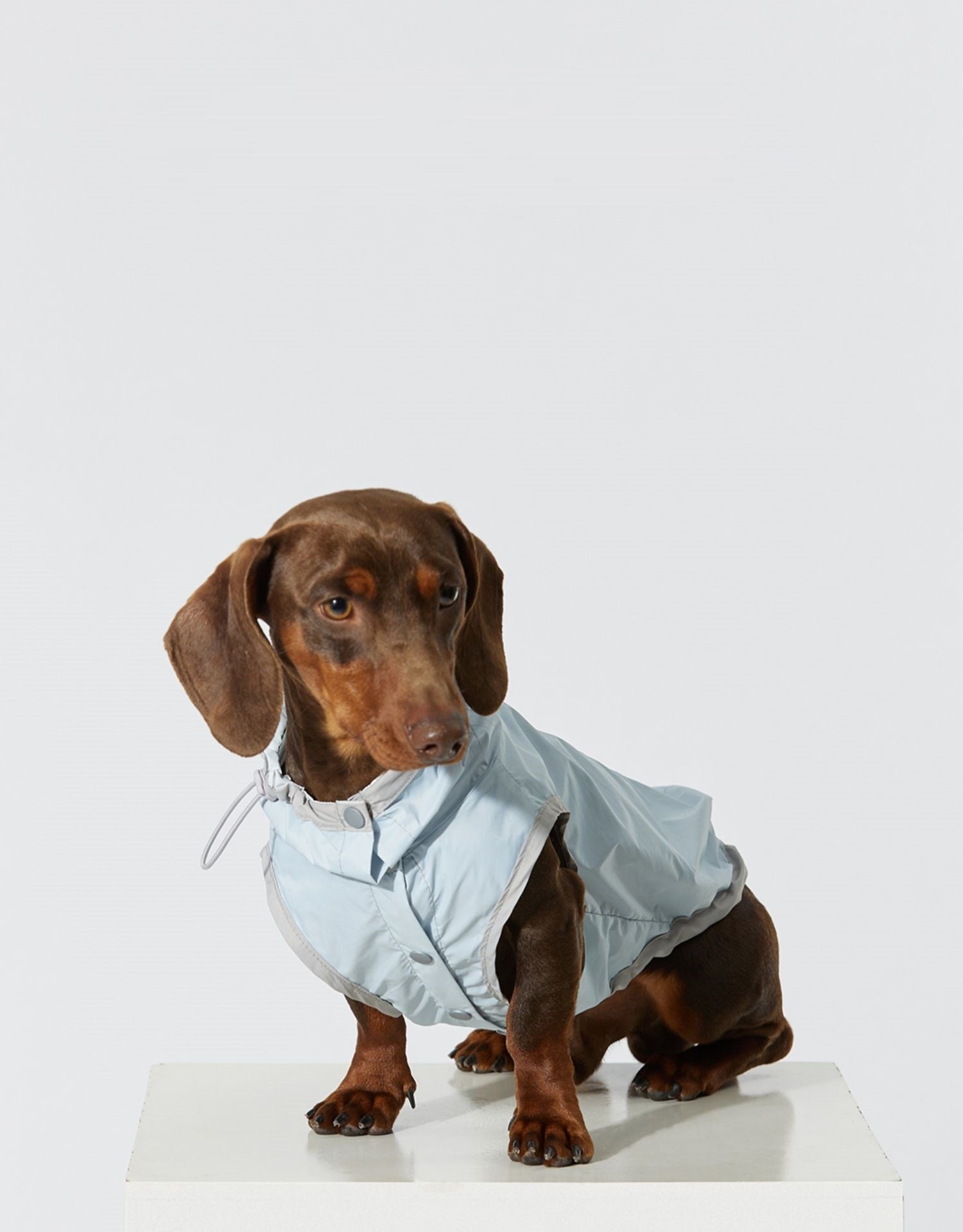 Impermeabile Smanicato per Cani Easy - Antipioggia e Antivento