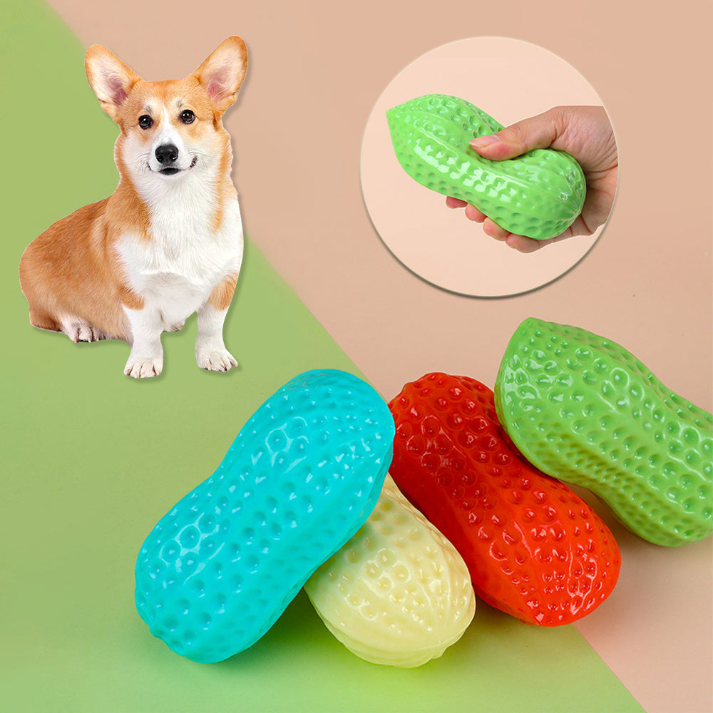 TPR Dog Toy "Peanut Butter"