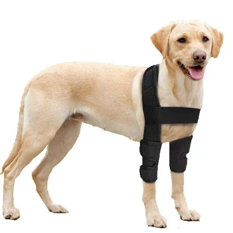 Dog front leg brace