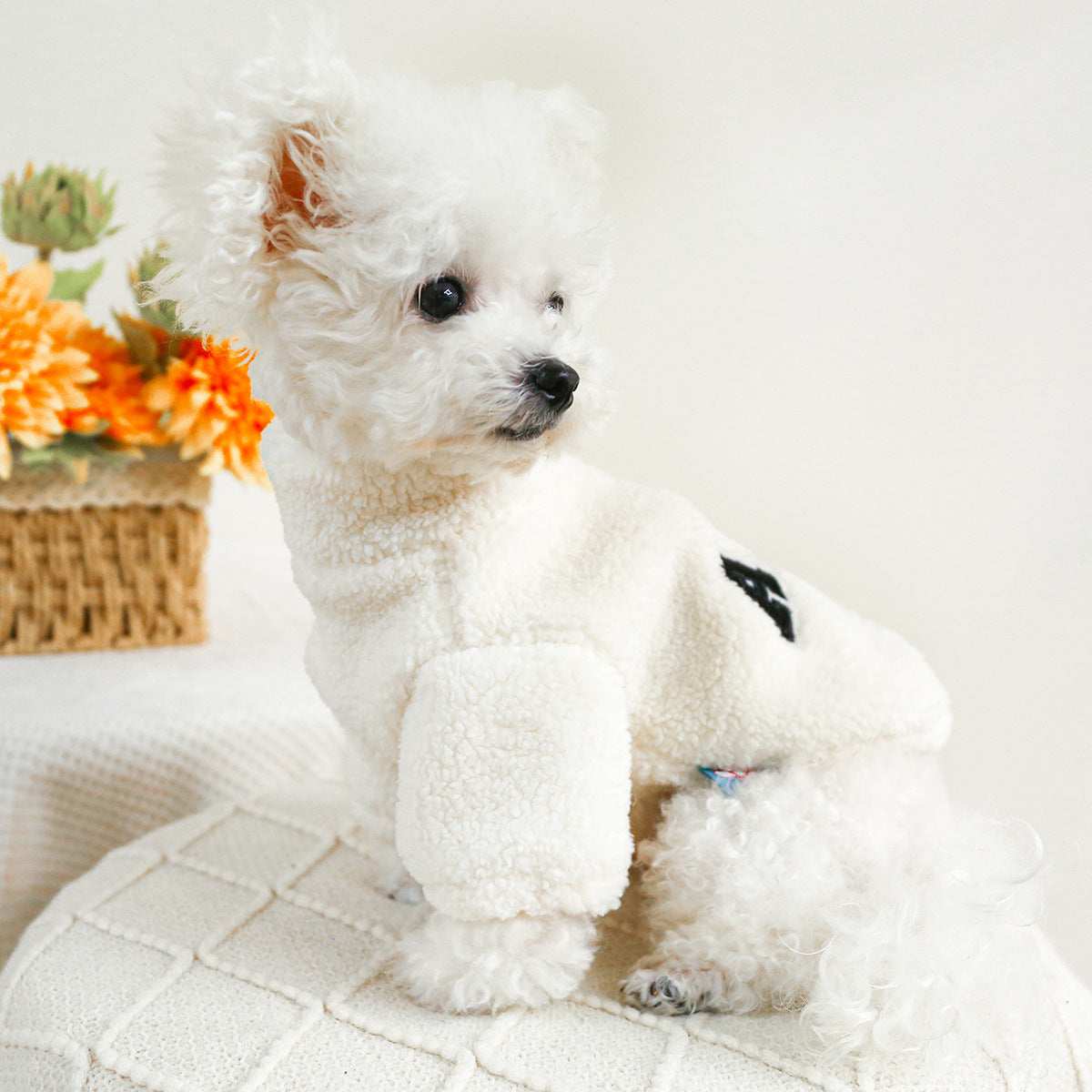 Maglia in Pile "ABC Cozy" per Cani - Calore e Stile nei Mesi Freddi - Dog Moda