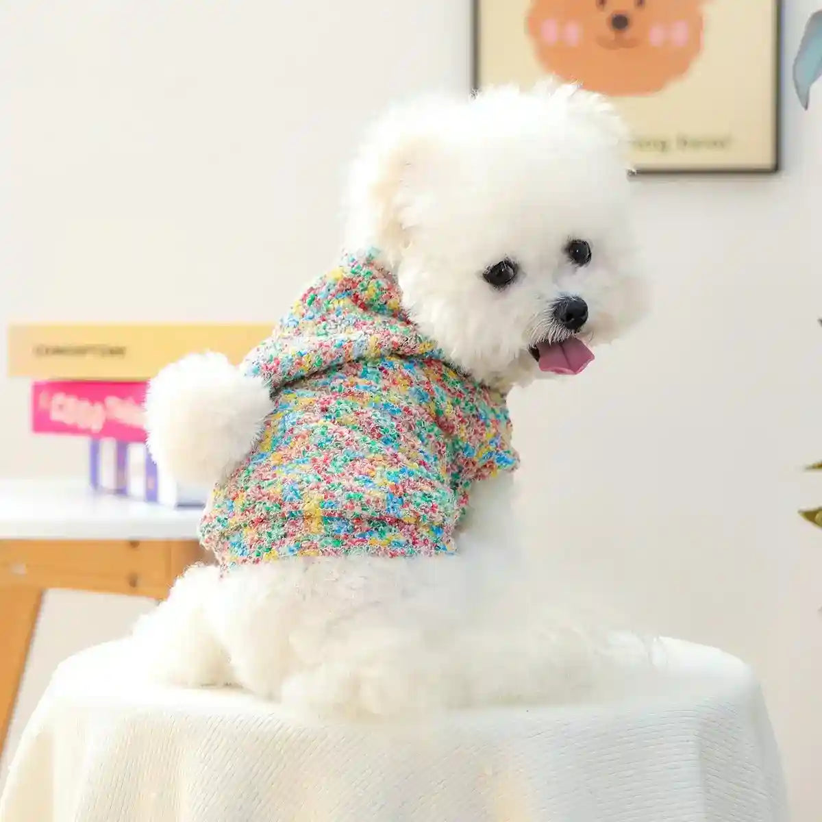 Sudadera con capucha para perros y gatos - Multicolor con pompón