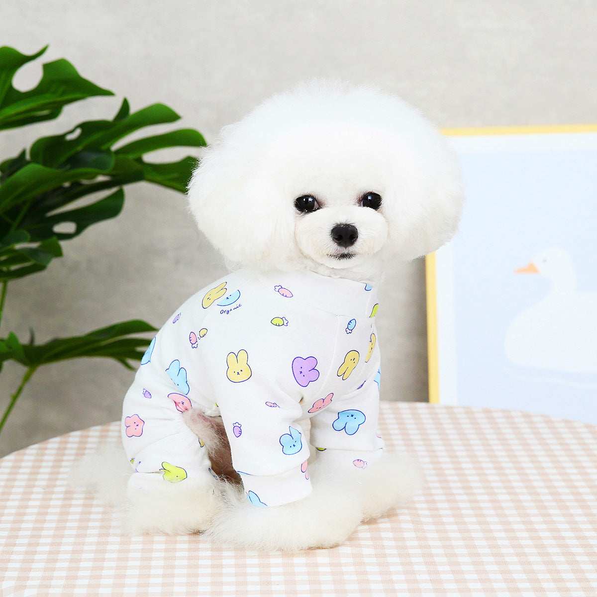 Maltese Dog Pajamas "Honey" - Comfort and Style for Four-Legged Dogs 