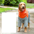 Golden retriever dog wearing orange and gray waterproof raincoat standing on sidewalk outdoors