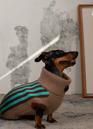Wiene Day Turtleneck Dog Sweater - Warm and Trendy