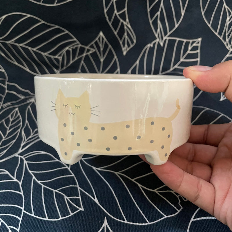 Ceramic Bowl for Dogs and Cats – Style, Quality and Safety for Your Four-Legged Friend