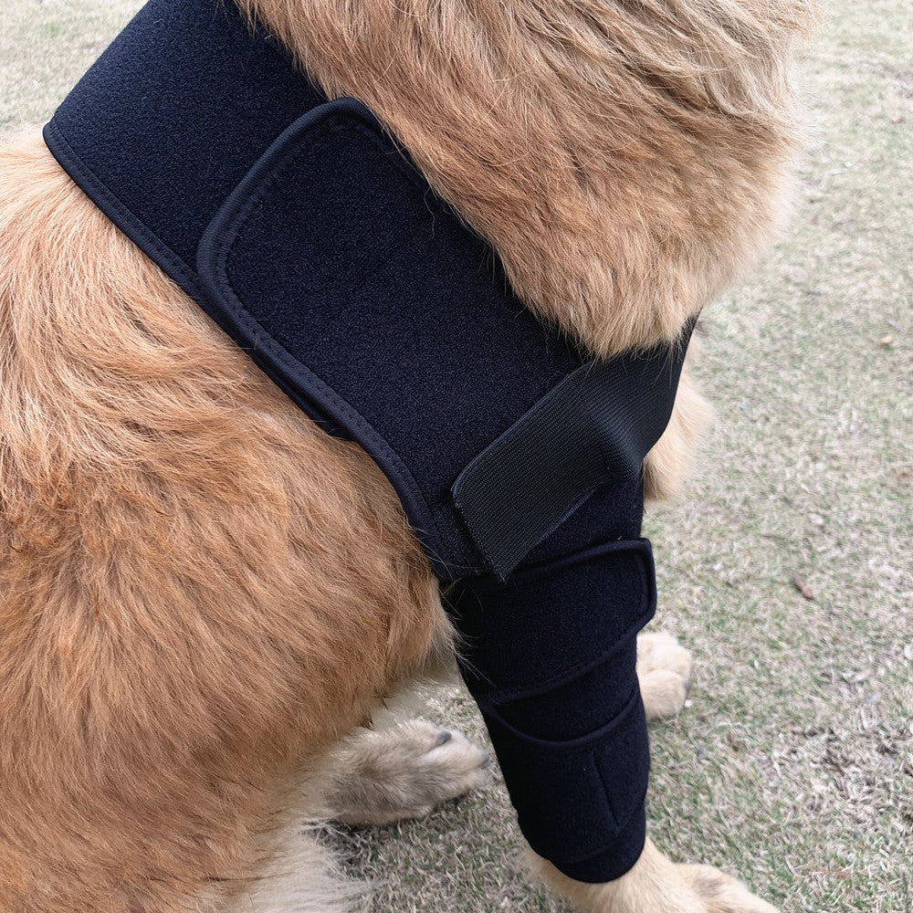 Dog front leg brace