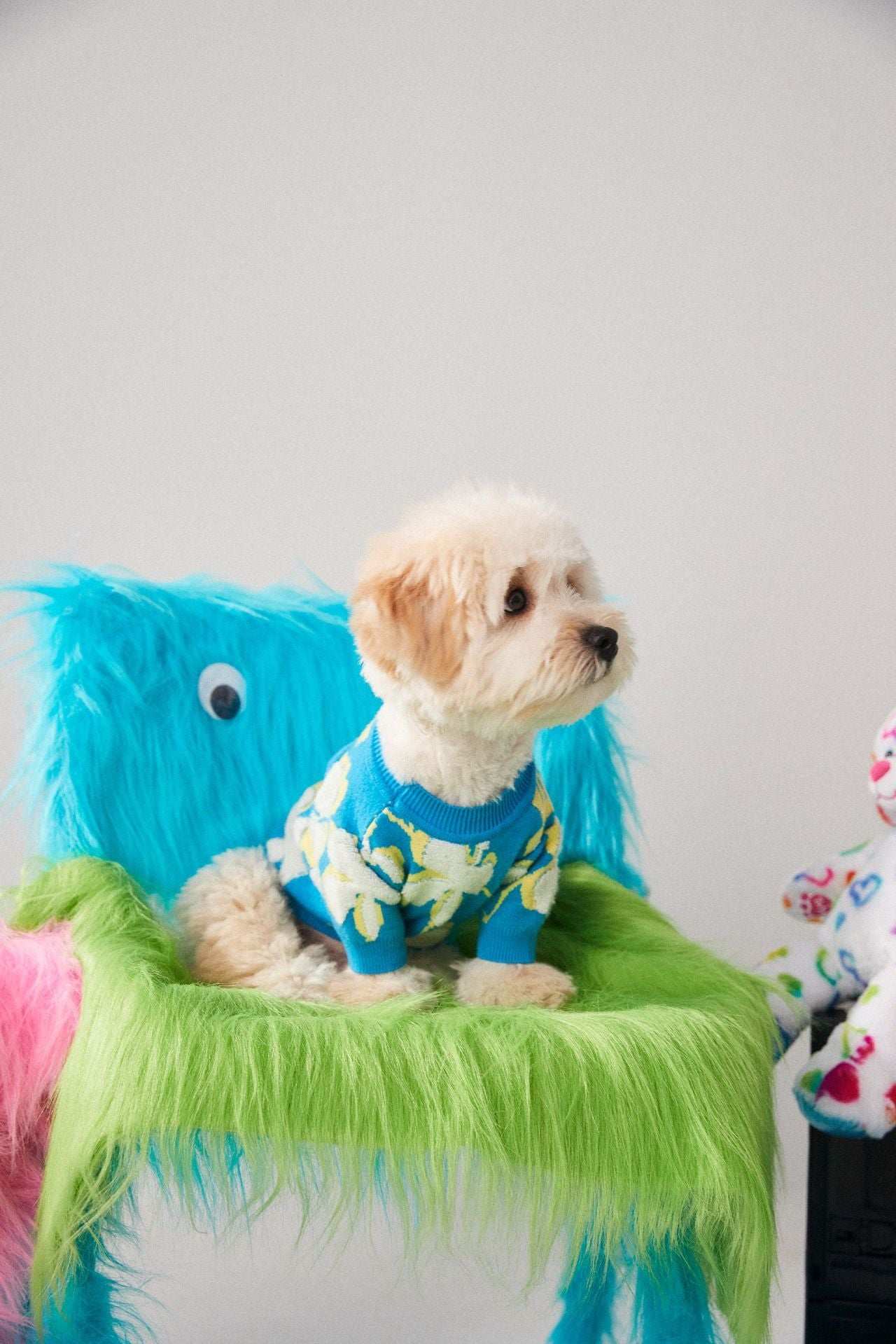 Maglioncino in Lana "Blue Blossom" – Eleganza Floreale per il Tuo Cane - Dog Moda