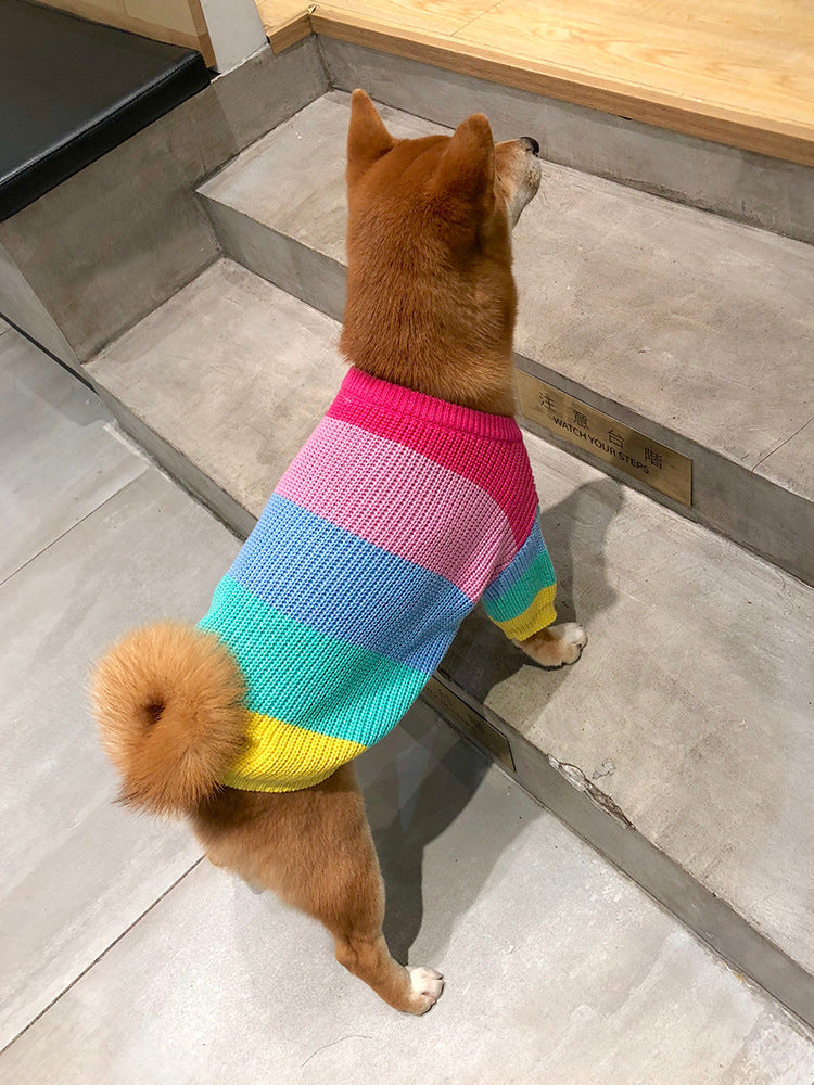 Dog Sweater "Rainbow" - Cheepet
