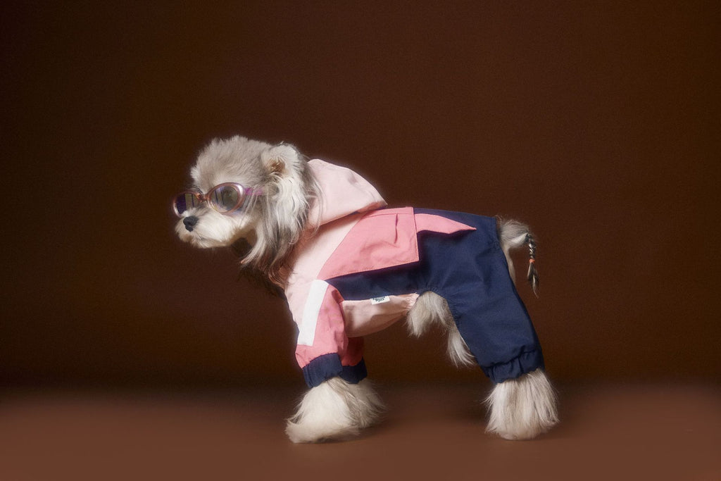 Tawney Bear 4-Legged Dog Raincoat with High Collar