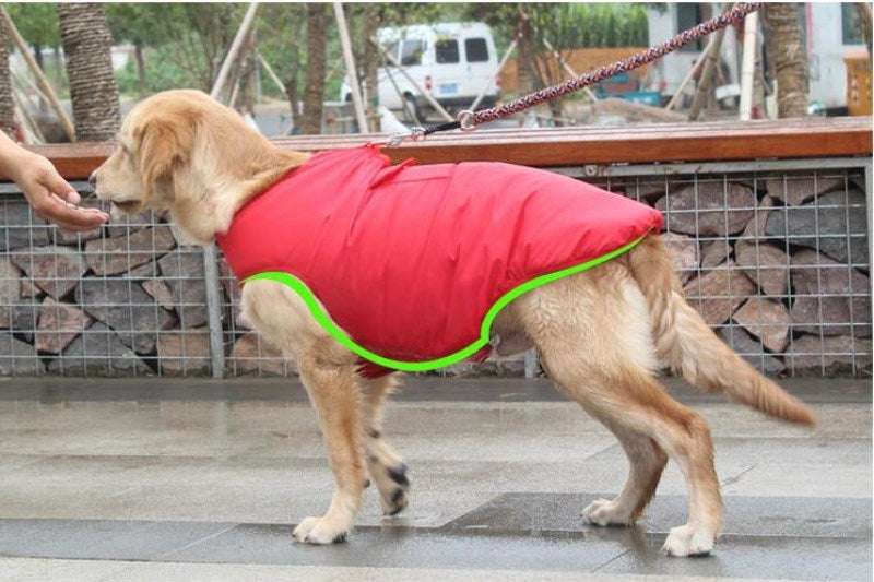 Cappotto Invernale per Cani Retriever - Cotone con Pettorina Integrata