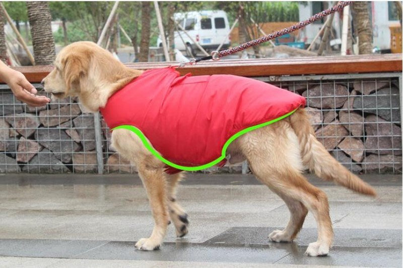 Cappotto Invernale per Cani Retriever - Cotone con Pettorina Integrata