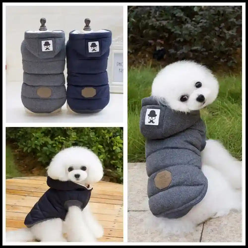 Cappotto per Cani Mustache con Cappuccio - Imbottito Caldo by null