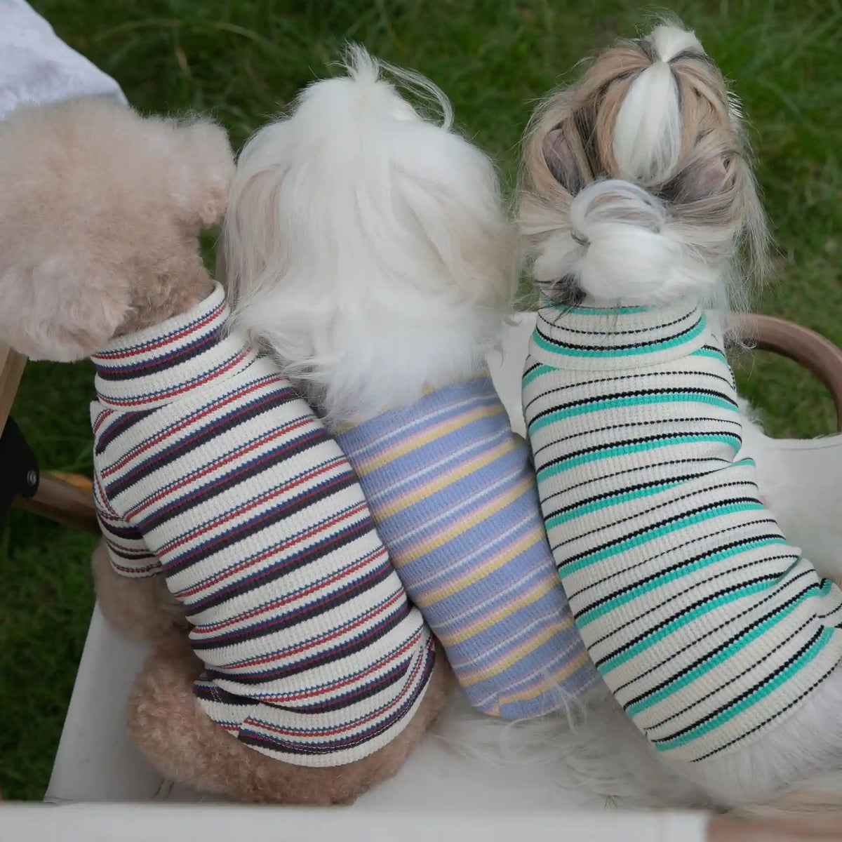 Maglia a Righe per Cani - Cotone Traspirante Leggera by Dog Moda