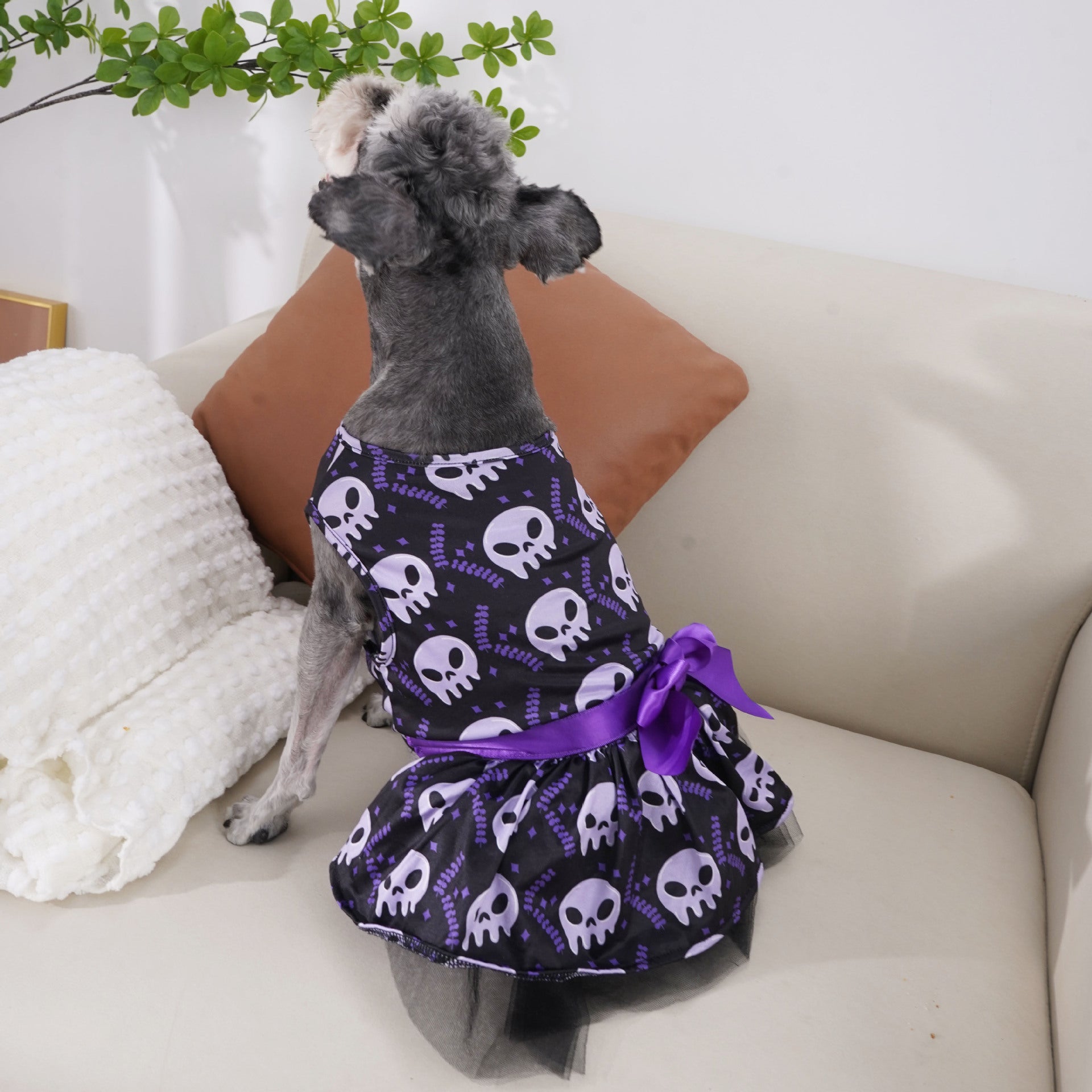 Halloween Themed Dog Dress for Girls – Two Scary and Adorable Designs!