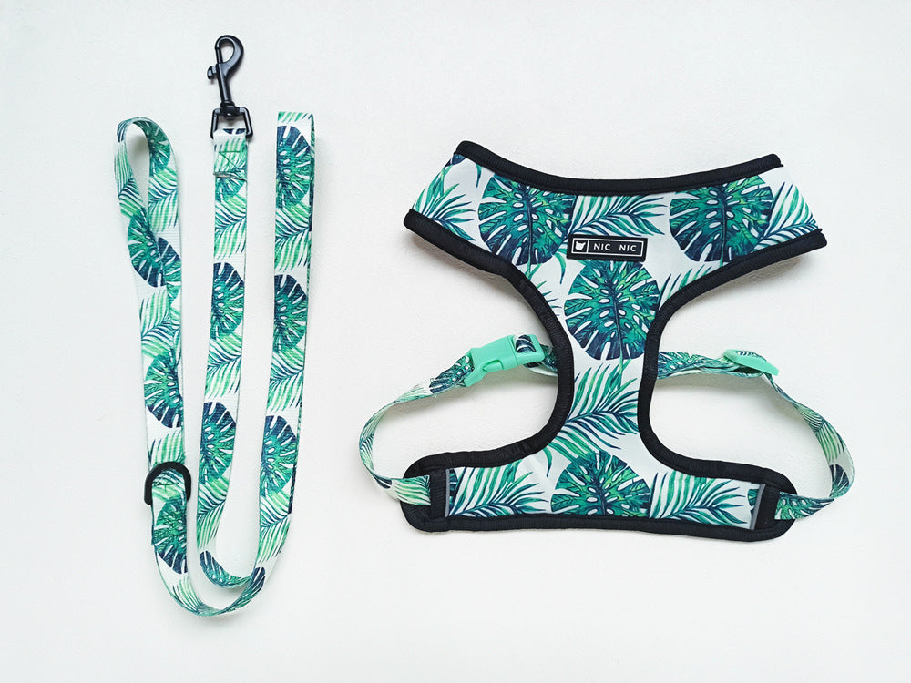 Harness and leash with unique "NicNic" patterns