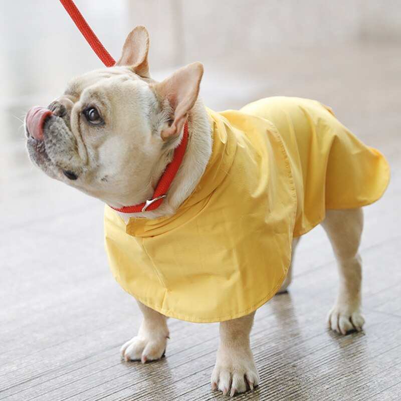 Dog raincoat with hood "Praga"