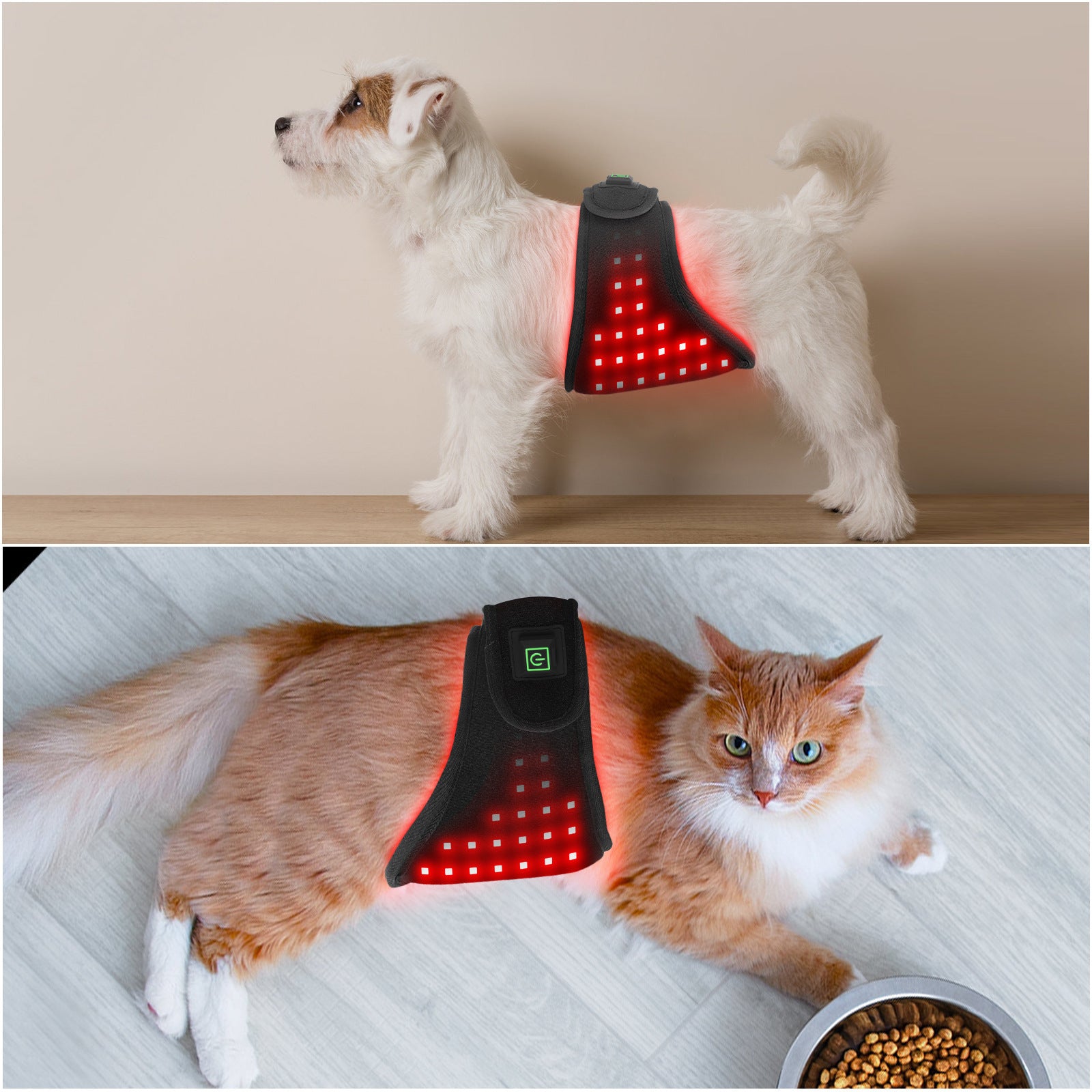 Fascia Fisioterapica LED Rosso Cani Gatti Ricaricabile