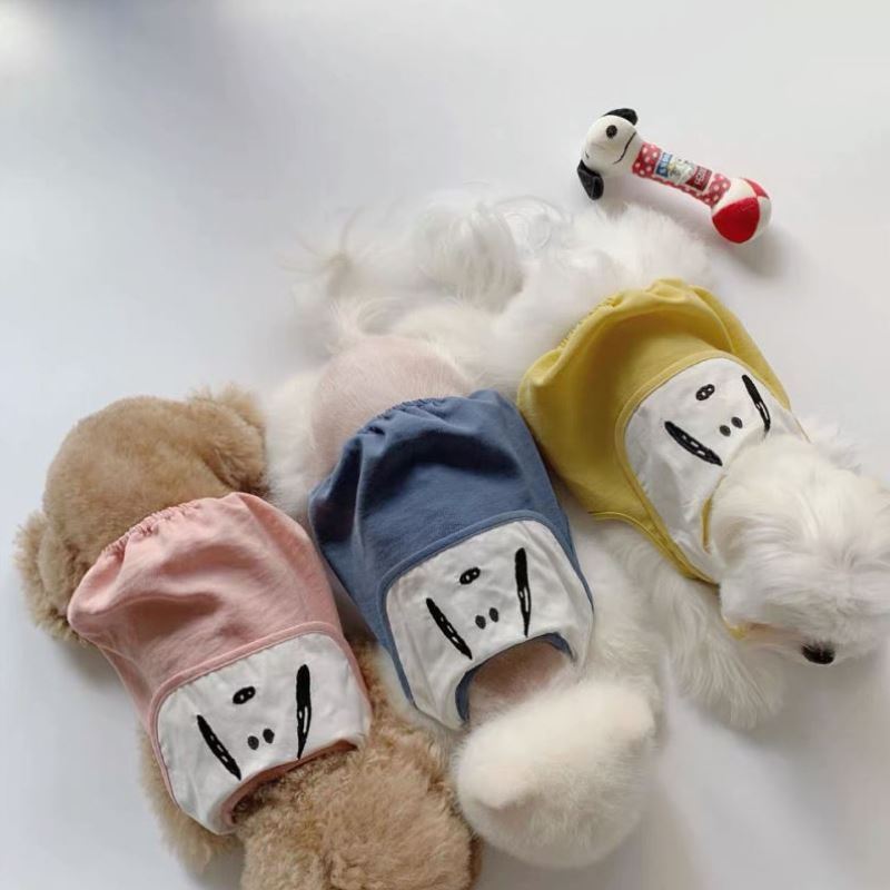 Dog T-shirt with scarf "BeautyDog"